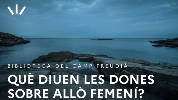 Què diuen les dones sobre allò femení? 