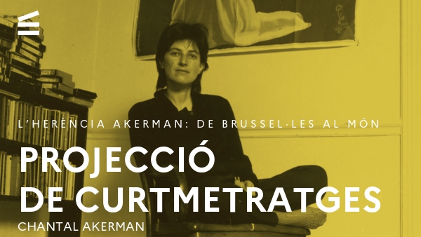Projecció de curtmetratges