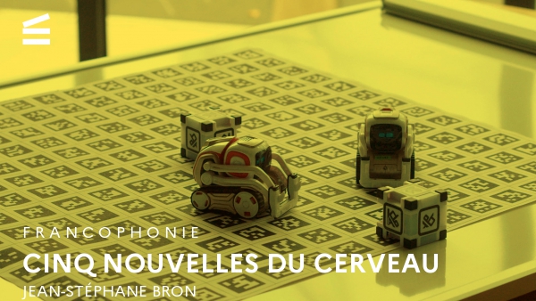 Cinq nouvelles du cerveau